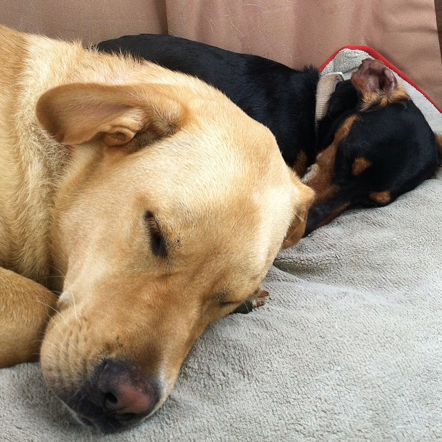 10277790_1426847437576648_6742887181906365245_n